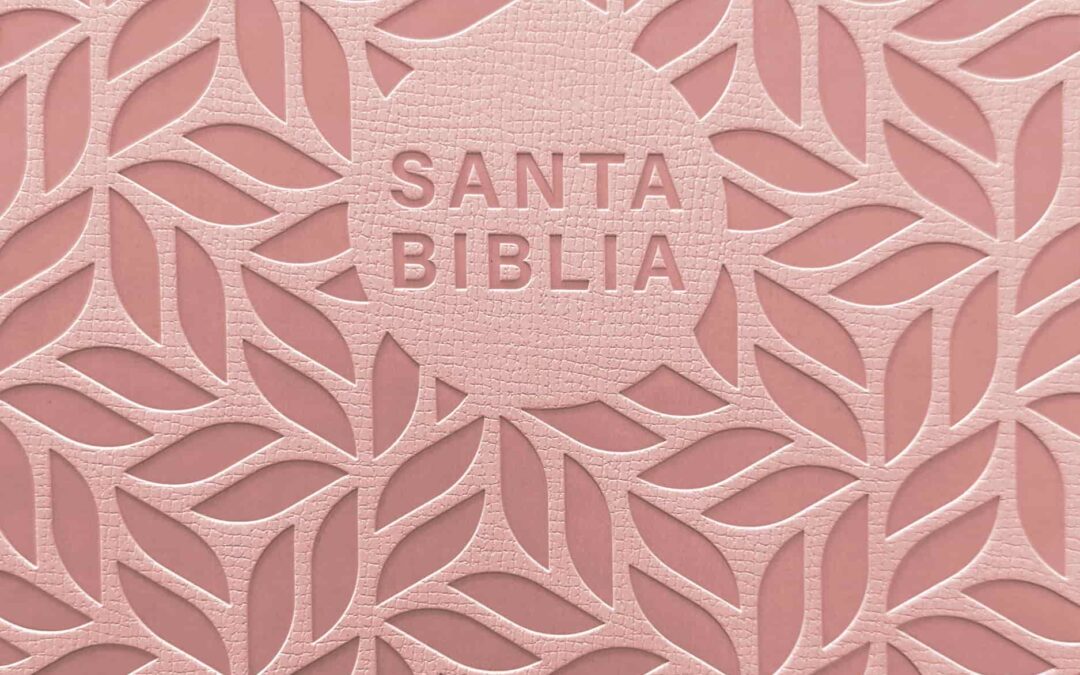 Biblia valor prémium NTV, letra grande con Filament