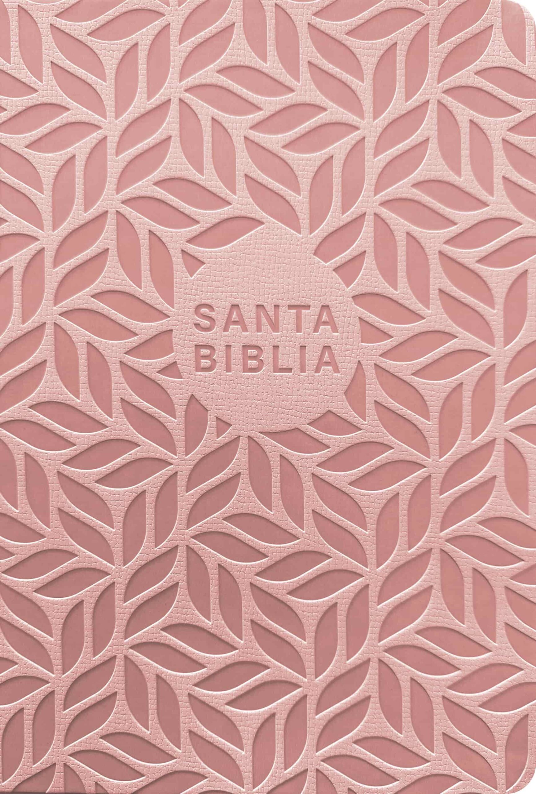 Biblia valor prémium NTV, letra grande con Filament