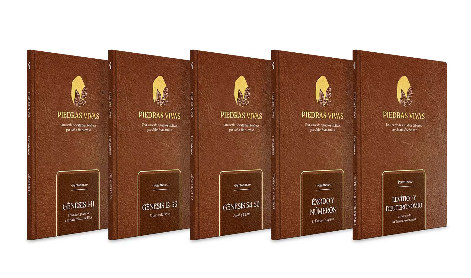 piedras vivas el pentateuco