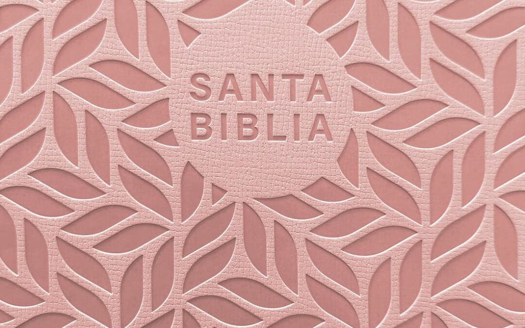 Biblia valor prémium NTV, letra grande con Filament