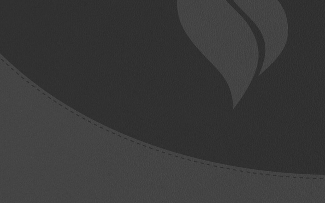 Biblia de Estudio Vida Plena – Actualizada y Ampliada (Negro)