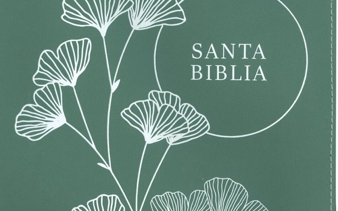 Biblia de referencia en la columna central NTV, letra grande con Filament