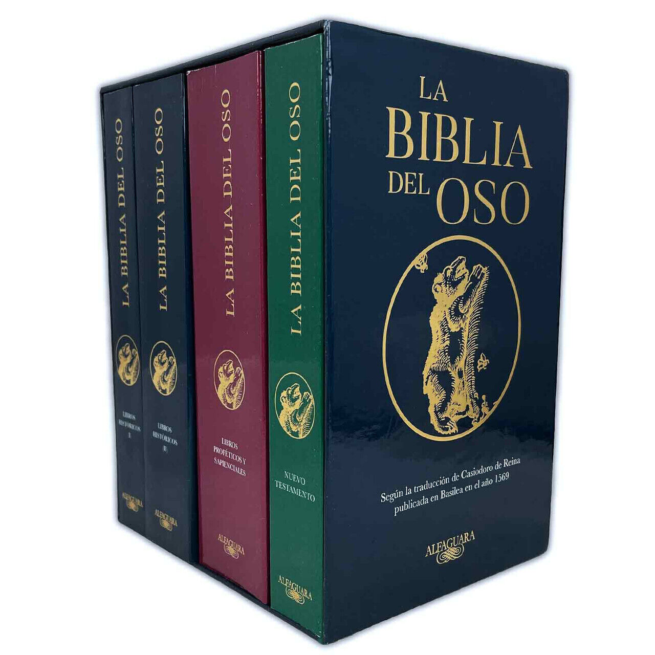 Estuche de la Biblia del oso (4 tomos)