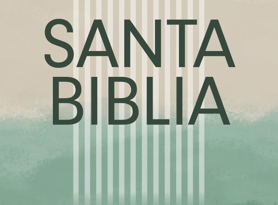 Biblia económica NTV, Edición semilla, Verde