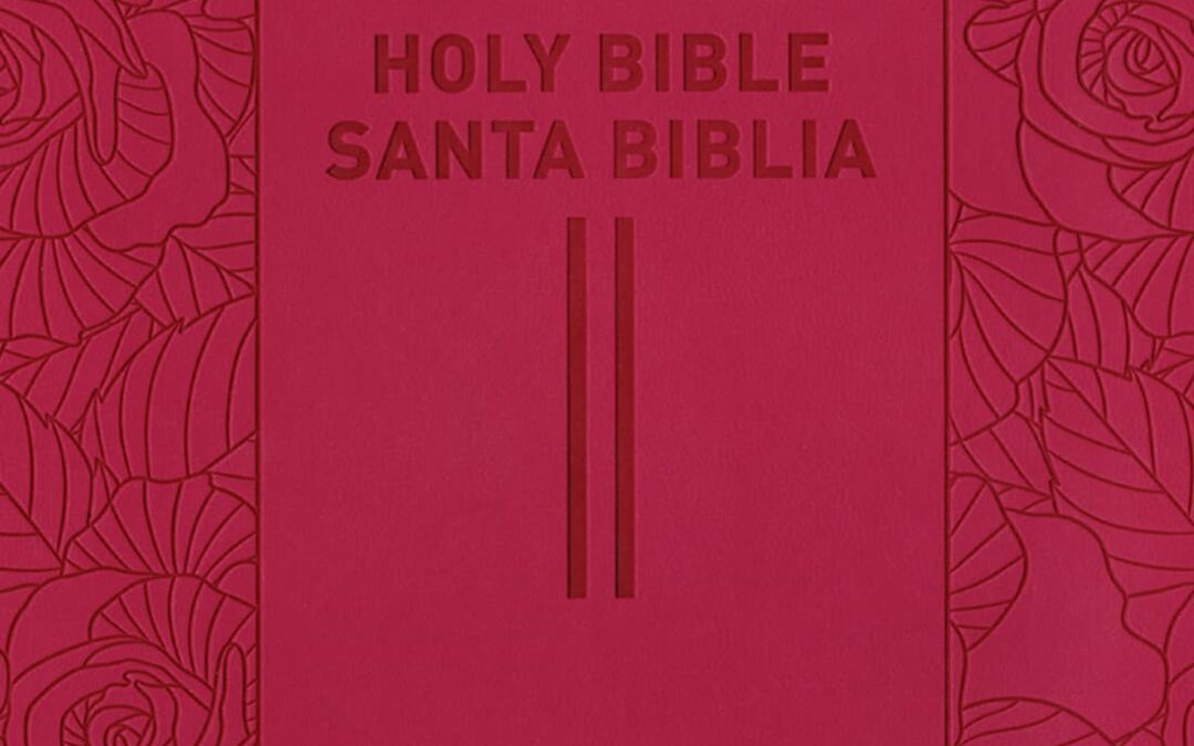 Biblia bilingüe NLT/NTV