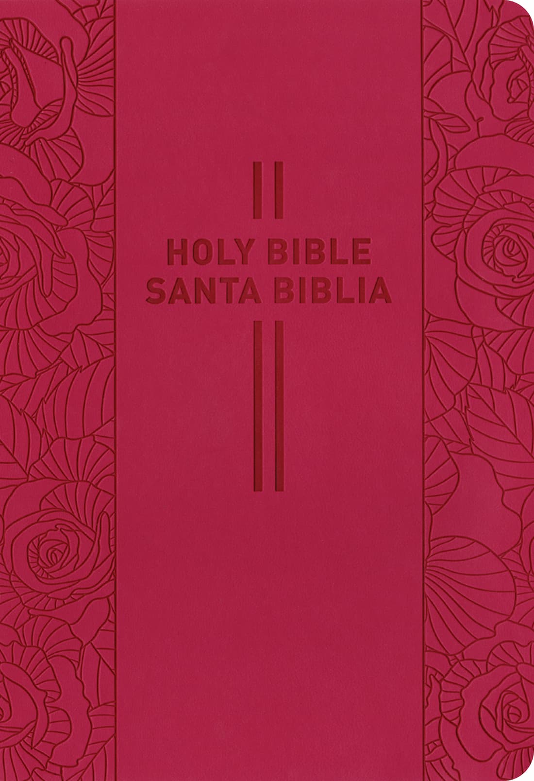 biblia bilingue