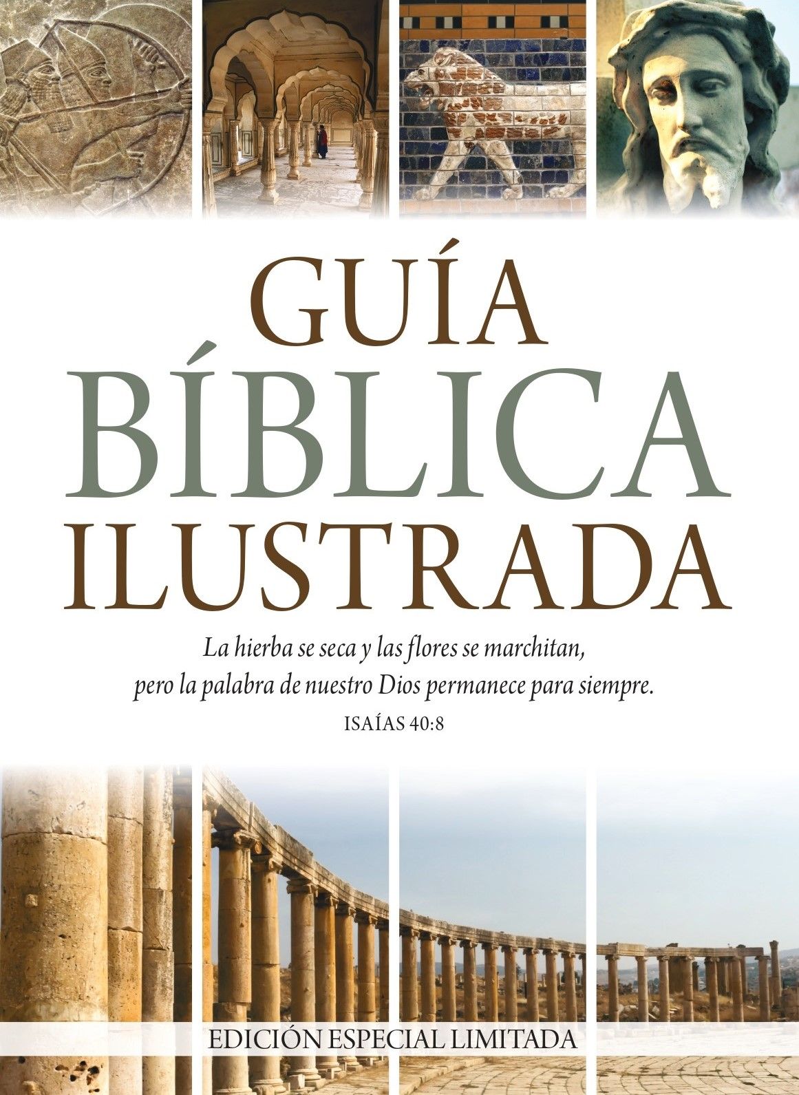 Guía bíblica ilustrada