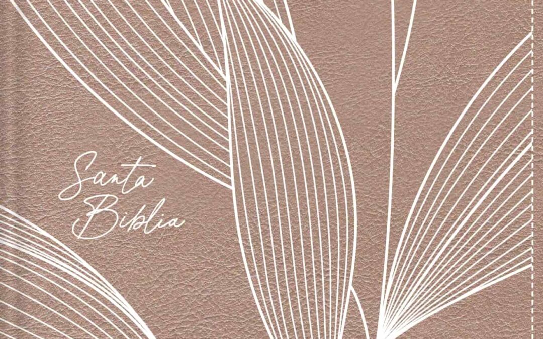 NBLA, Santa Biblia, Tamaño bolsillo, Edición versificada, Palabras de Jesús en rojo, Comfort Print