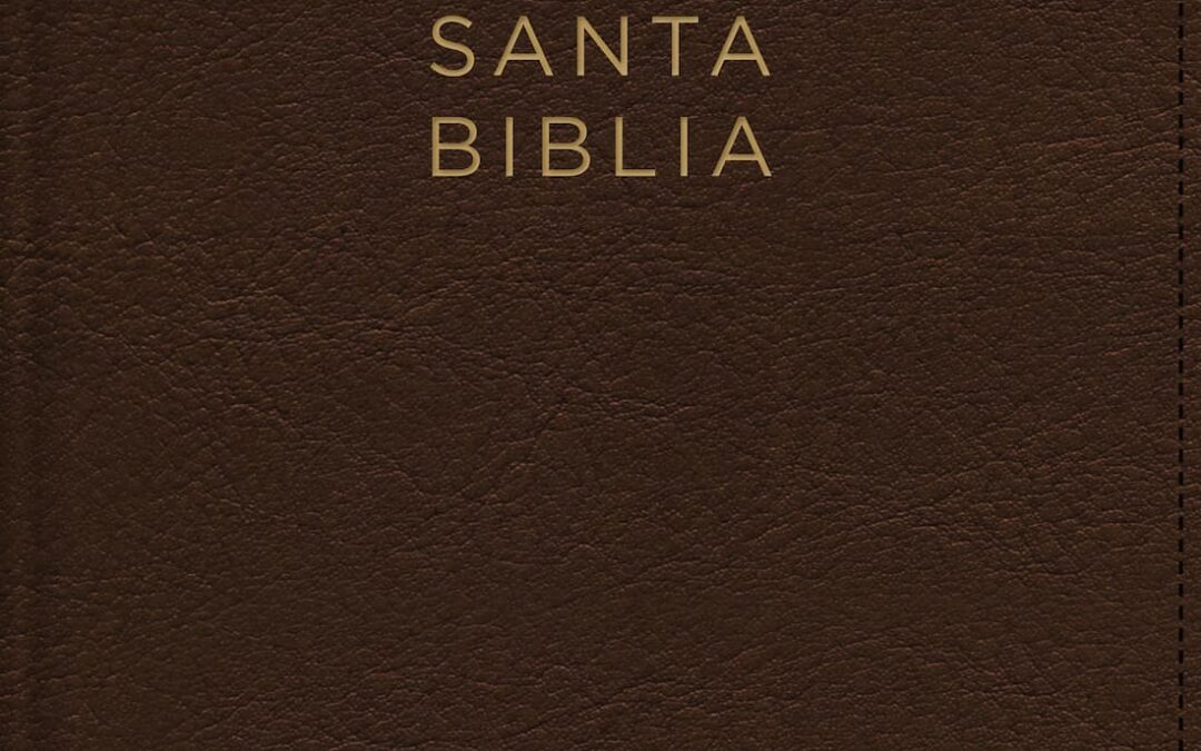 NBLA, Santa Biblia, Ultrafina, Letra grande, Leathersoft, Café, Palabras de Jesús en rojo