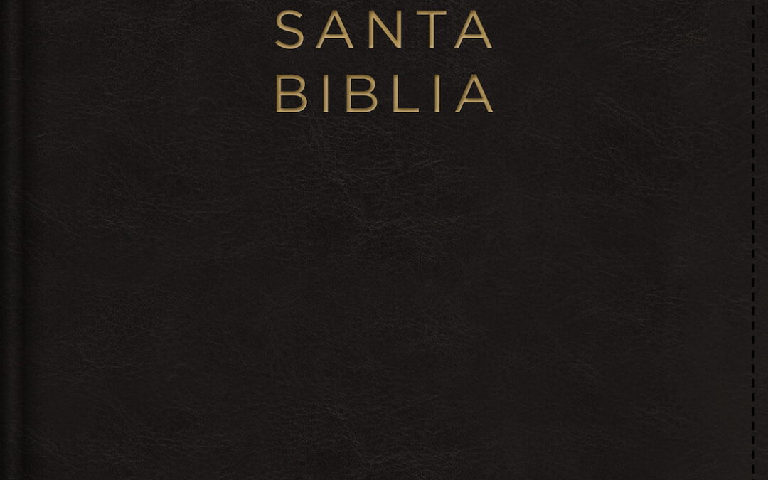 NBLA, Santa Biblia, Ultrafina, Letra grande, Leathersoft™ negro con cierre