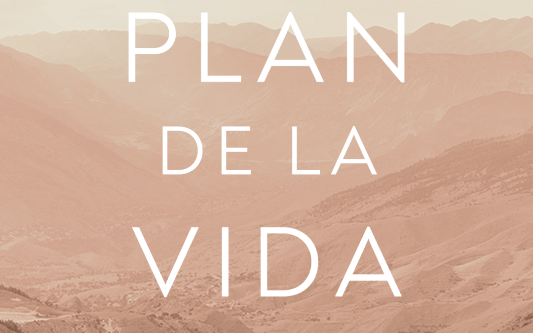 Evangelio de Juan: El plan de la vida